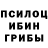 Галлюциногенные грибы Magic Shrooms Robert Katekaru