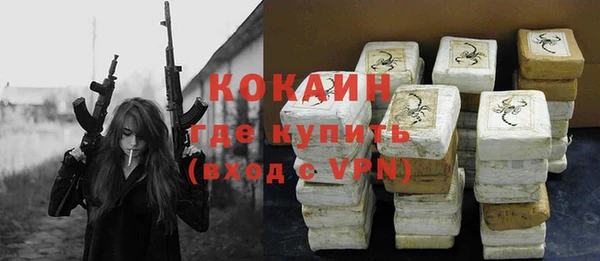индика Надым