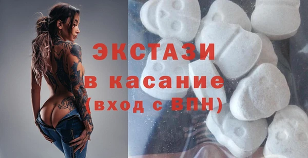 индика Надым