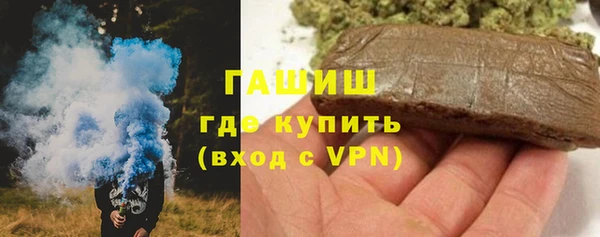 индика Надым