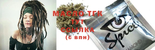 индика Надым