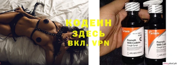 крисы Ростов
