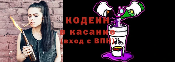 индика Надым