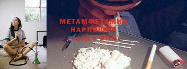 индика Надым