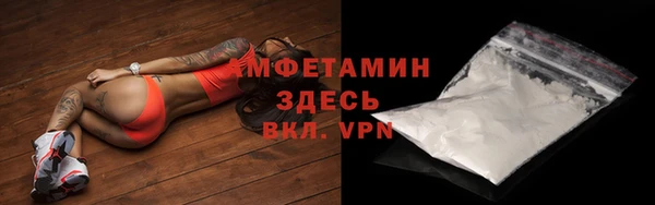 индика Надым