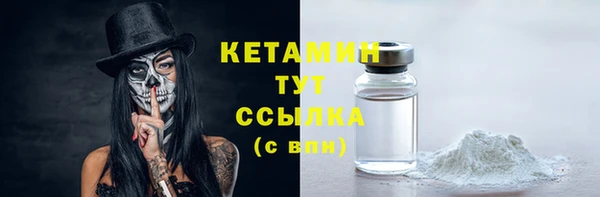 индика Надым