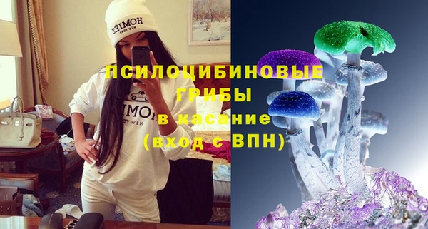 индика Надым