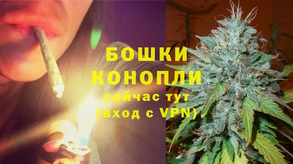 индика Надым