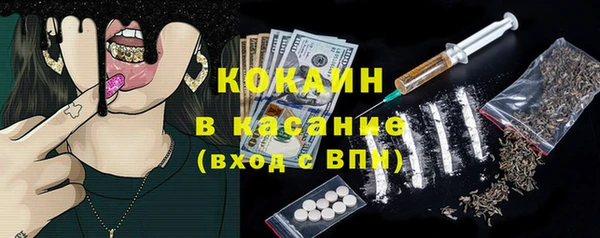 индика Надым