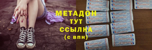 индика Надым