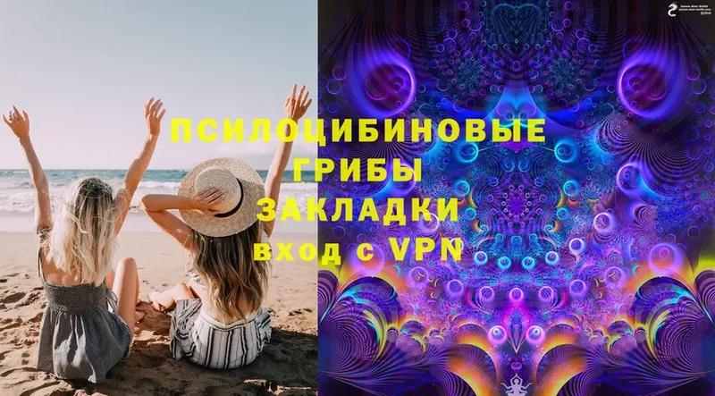 Псилоцибиновые грибы Psilocybe  Саратов 