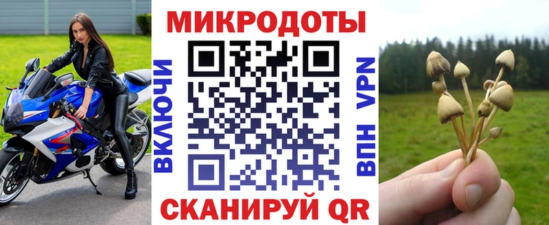 Псилоцибиновые грибы MAGIC MUSHROOMS Саратов