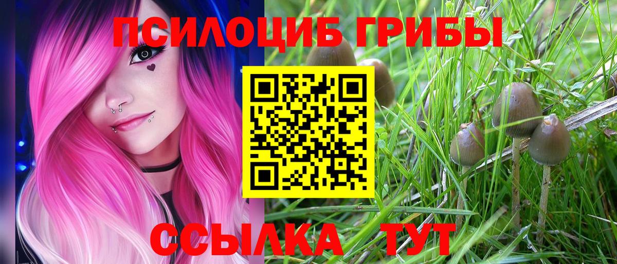 Саратов  где продают наркотики  Вход с VPN  Галлюциногенные грибы ЛСД 